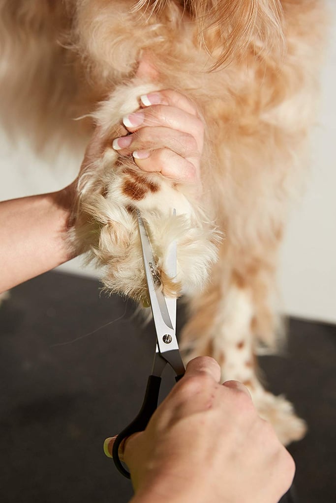 Andis Premium Pet Grooming Tools: 7" Premium Straight Shears