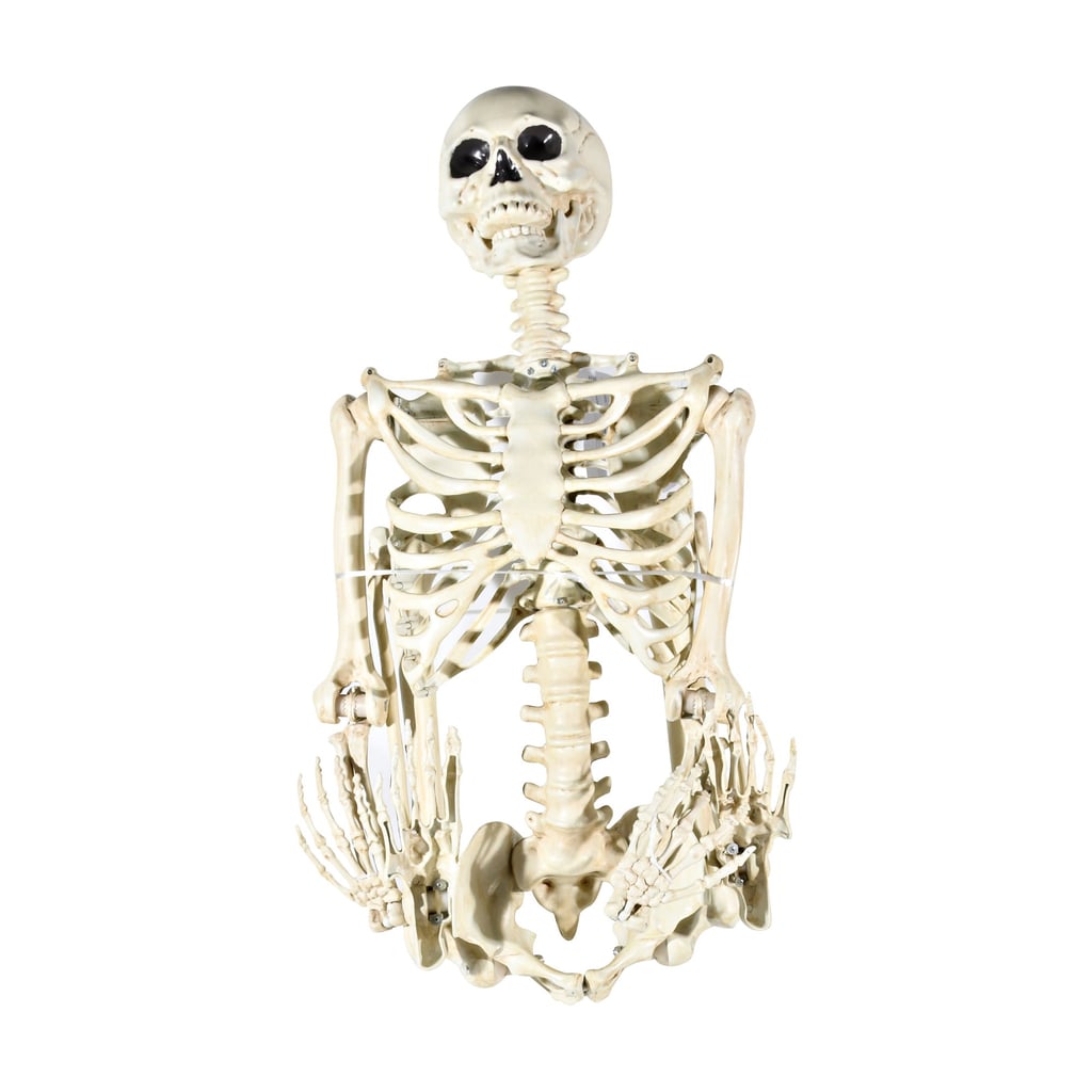 Hanging Posable Skeleton Decoration