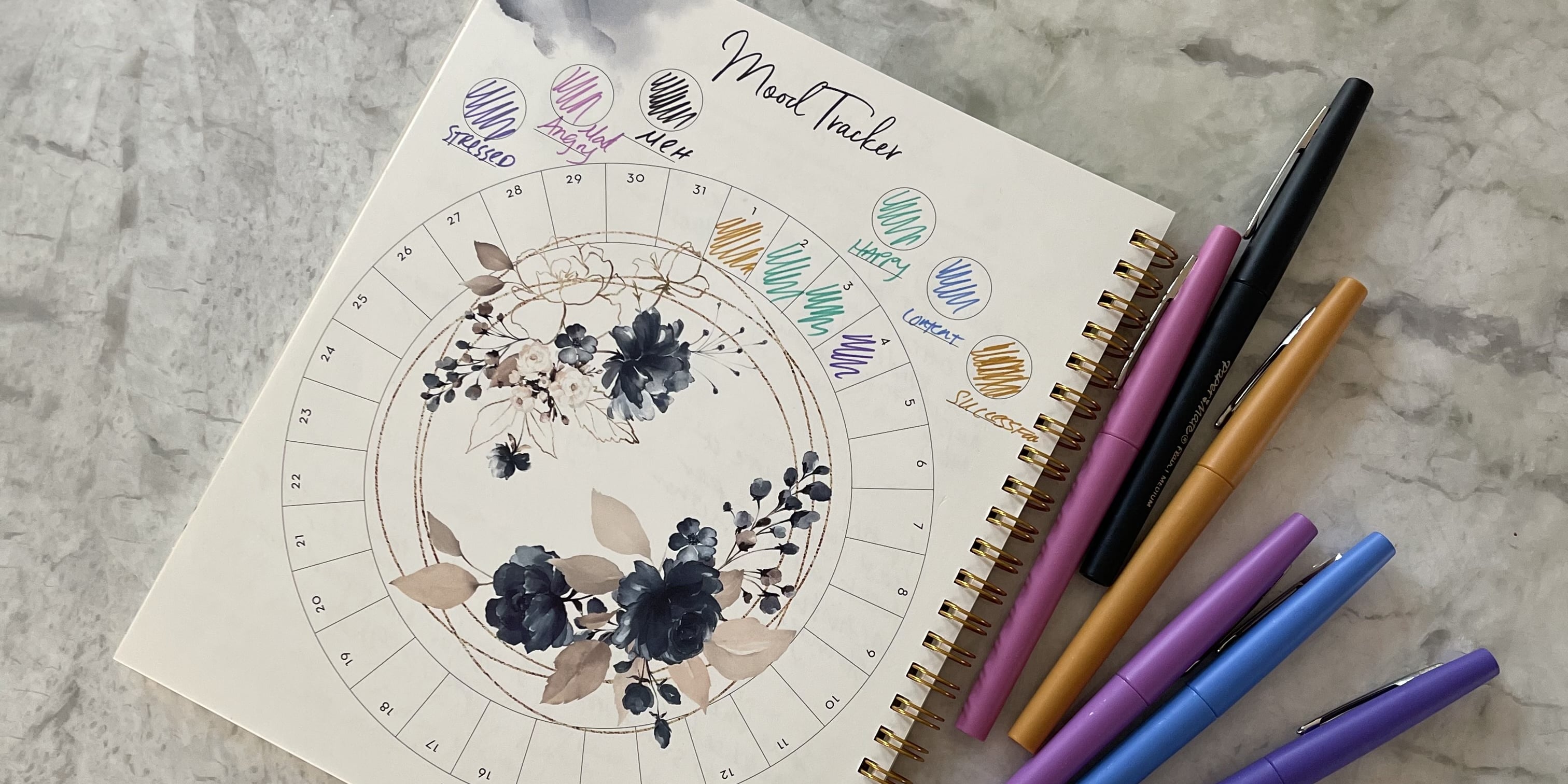 Silk and Sonder Wellness Planner Review POPSUGAR Smart Living