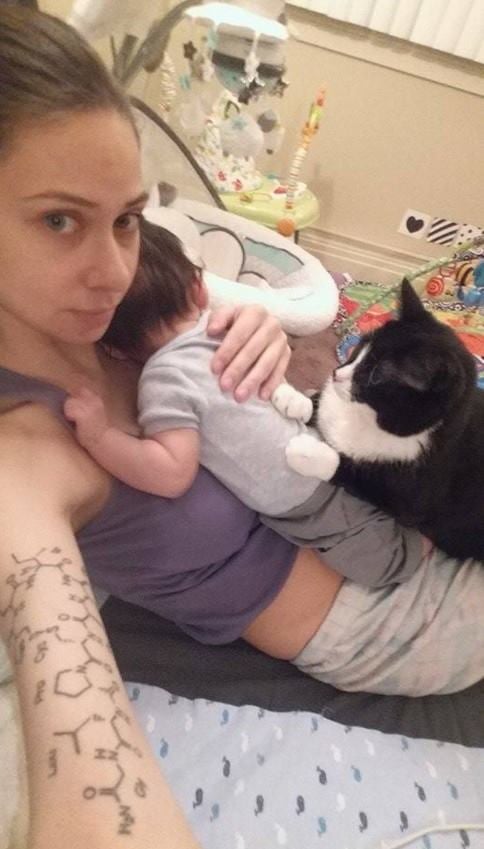 Cat Taking Care of Baby
