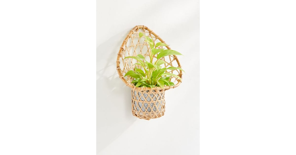 Ryland Planter Wall Basket Best Hanging Plant Holders POPSUGAR Home UK Photo 5