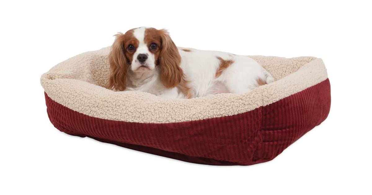 Aspen Pet SelfWarming Beds Best AntiAnxiety Dog Beds POPSUGAR