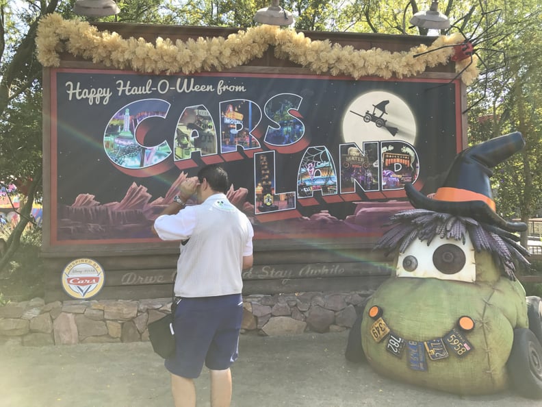 Cars Land gets fully decked out.