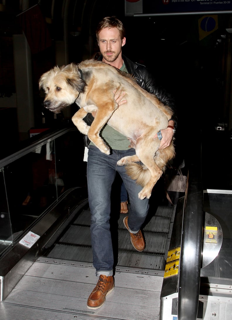 Carrying his dog through the airport like we secretly wish he was carrying us into our wedding suite.