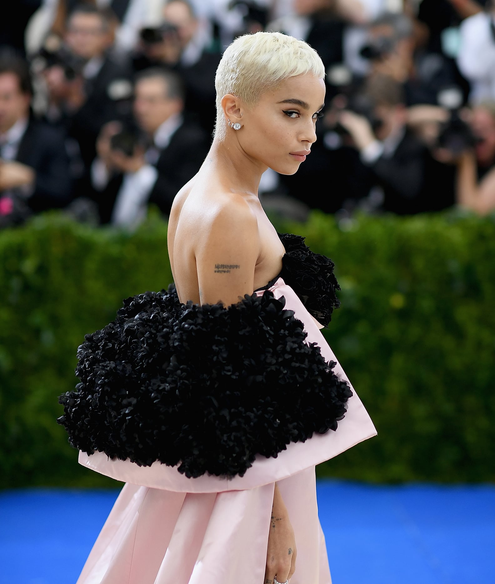 Zoe Kravitz Facts | PS Celebrity