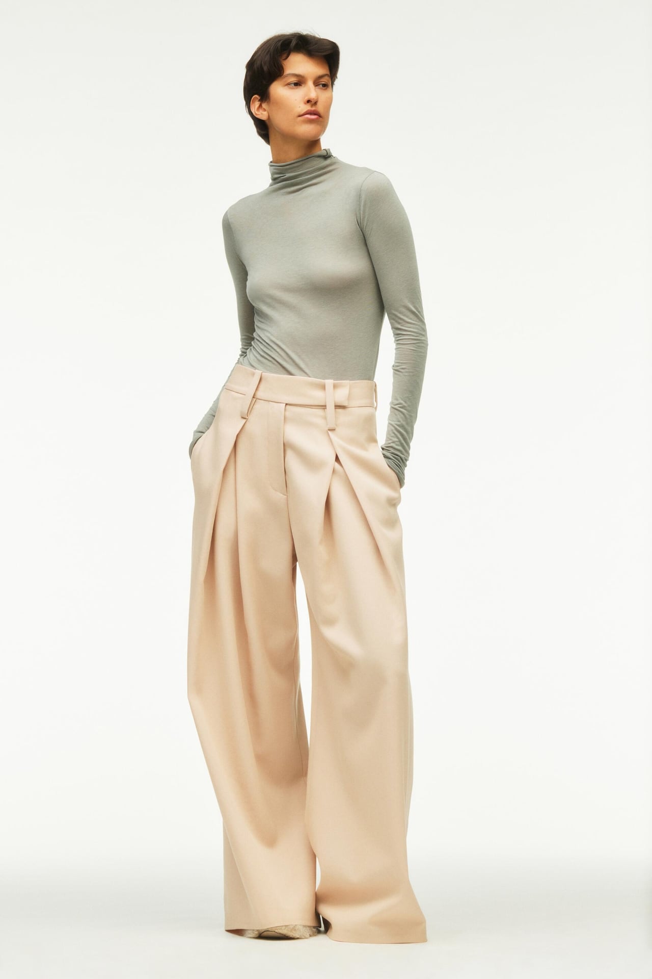 Pleated Pants: Zara Limited Edition Oversized Wool Blend Pants, The New  Zara Studio Collection Is a Fall Dream Come True