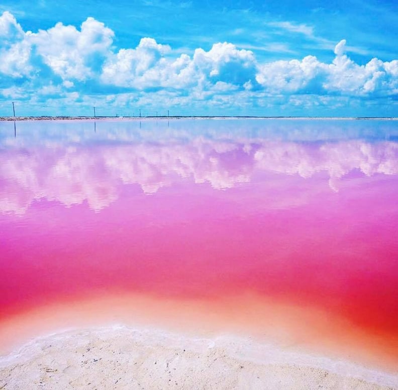 View a pink lake.