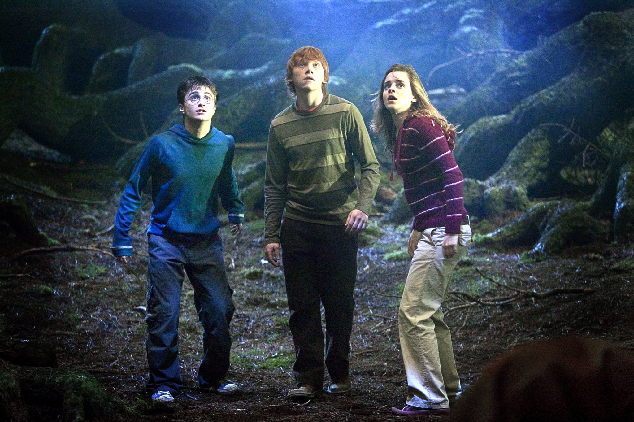 HARRY POTTER AND THE ORDER OF THE PHOENIX, Daniel Radcliffe, Rupert Grint, Emma Watson, 2007. Warner Bros./courtesy Everett Collection
