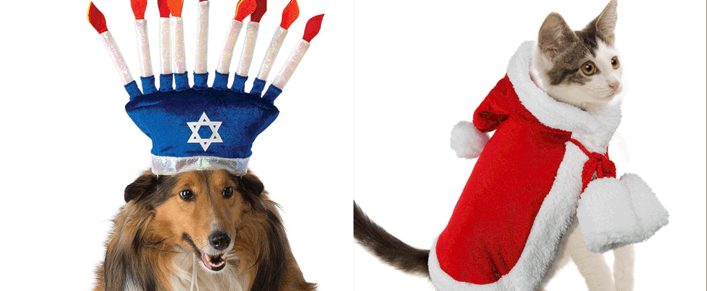 Holiday Pet Costumes on Amazon