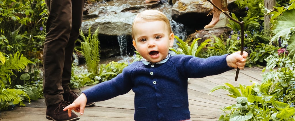 Prince Louis's Facial Expressions