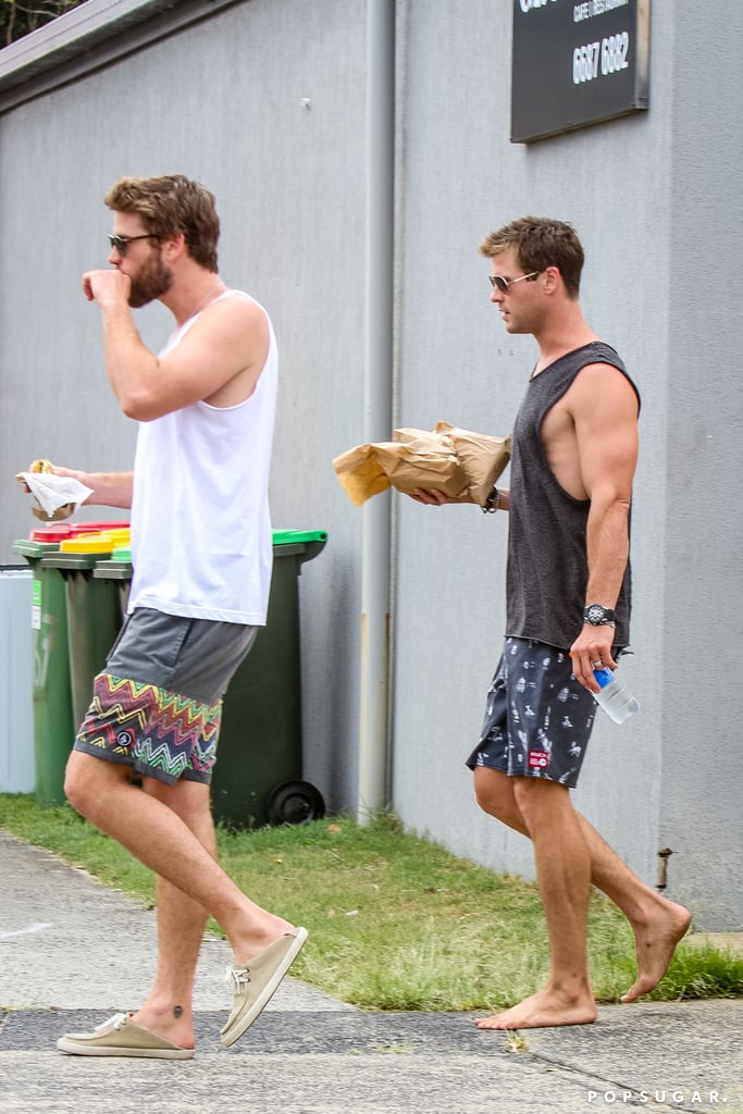 Chris and Liam Hemsworth in Australia December 2015