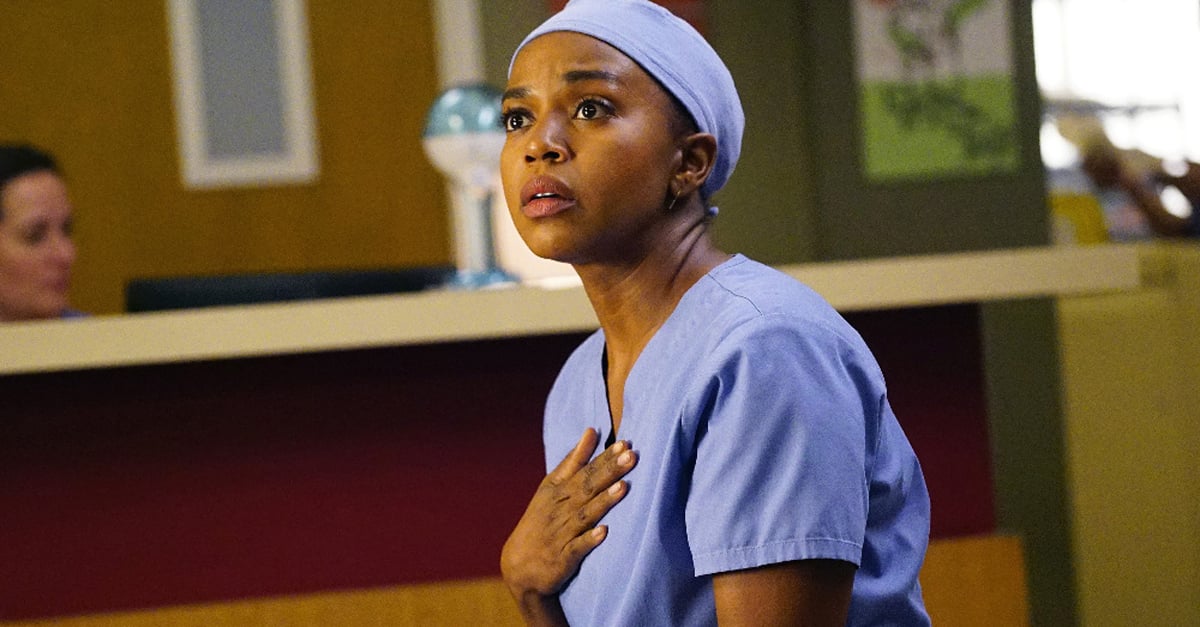Grey's Anatomy Season 12 Finale Recap | POPSUGAR Entertainment