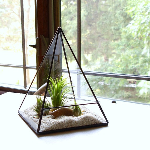 Glass Pyramid Terrarium