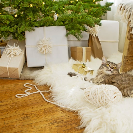 Useful Holiday Gift Ideas