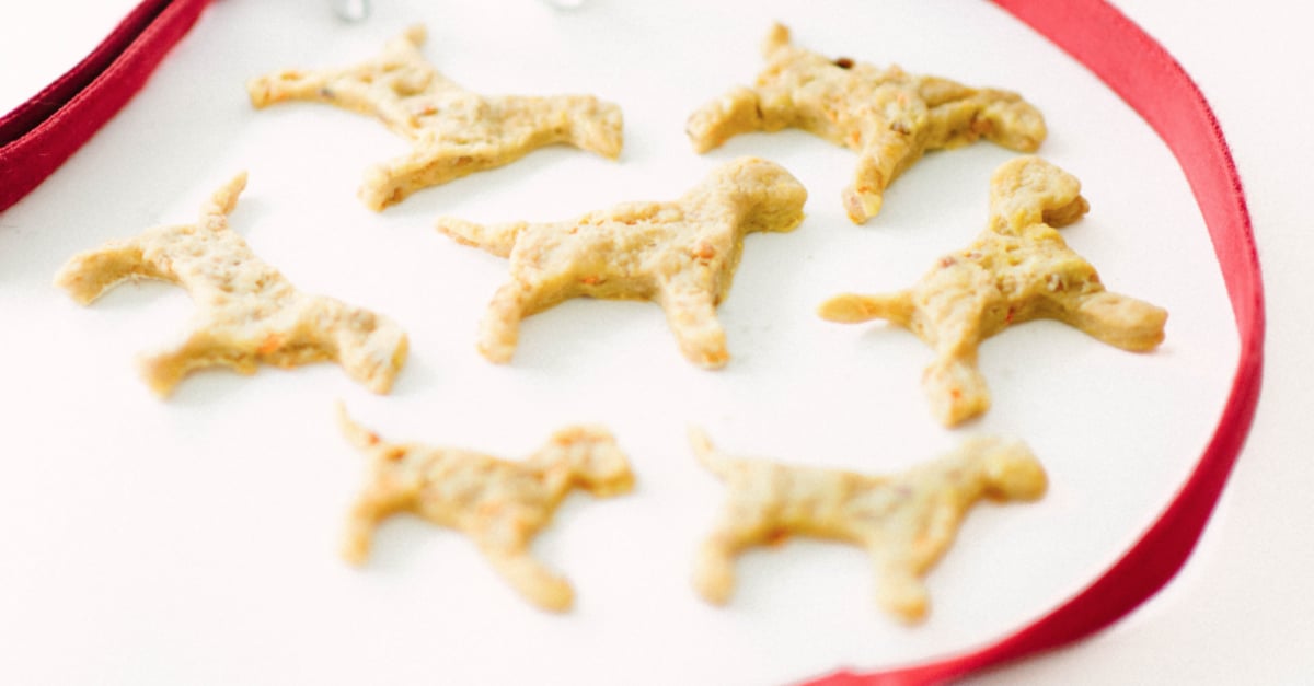 Carrot and Apple Dog Biscuit Recipe POPSUGAR Pets