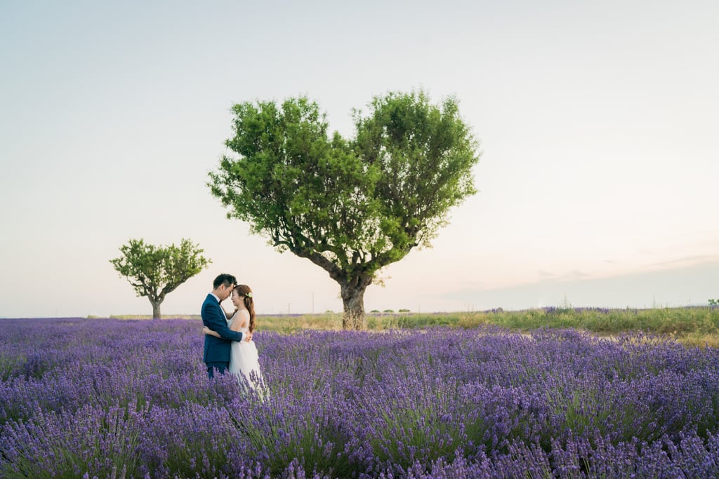 Engagement Shoot in Lavender Fields of Provence, France