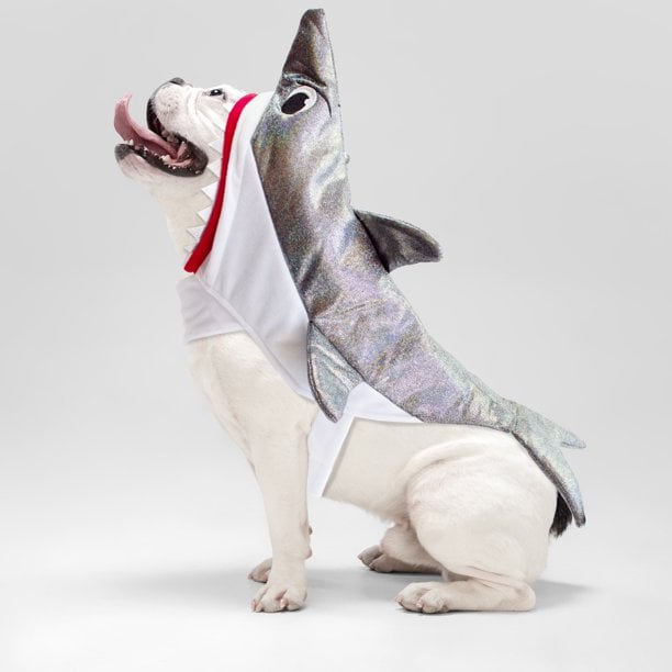 The Best Dog Halloween Costumes From Walmart