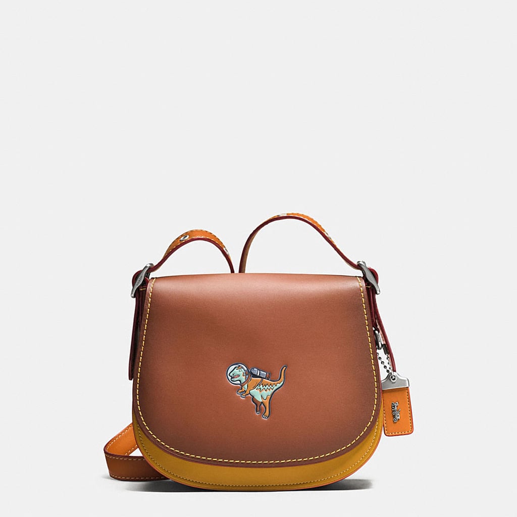 coach nasa purse