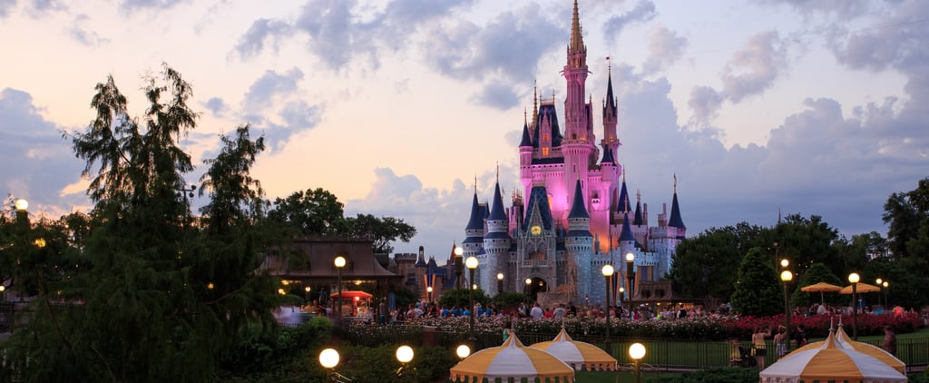 Floridians' Tips For Going to Disney