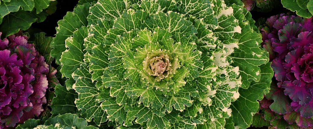 20 Beautiful Garden Plants That Are Also Edible