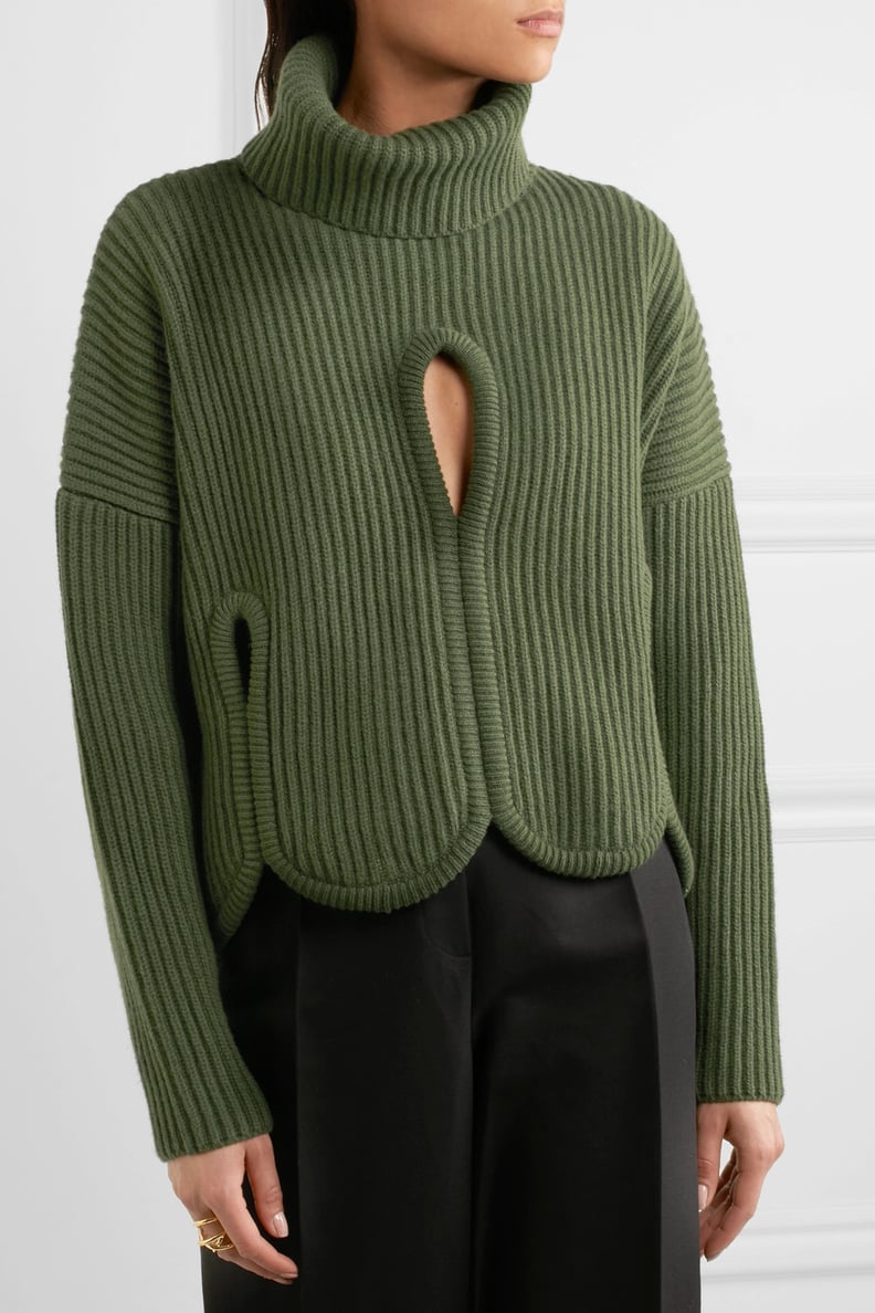 Antonio Berardi Cutout Ribbed Turtleneck Sweater