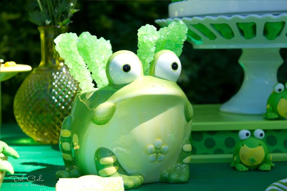 Frog Leap Day Birthday Party