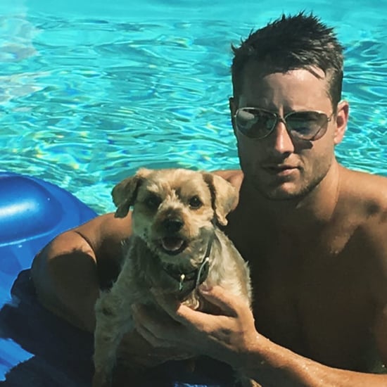 Justin Hartley's Dog Memphis Dies