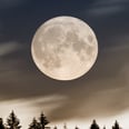 The Sturgeon Moon Spiritual Meaning, According to an Astrologer