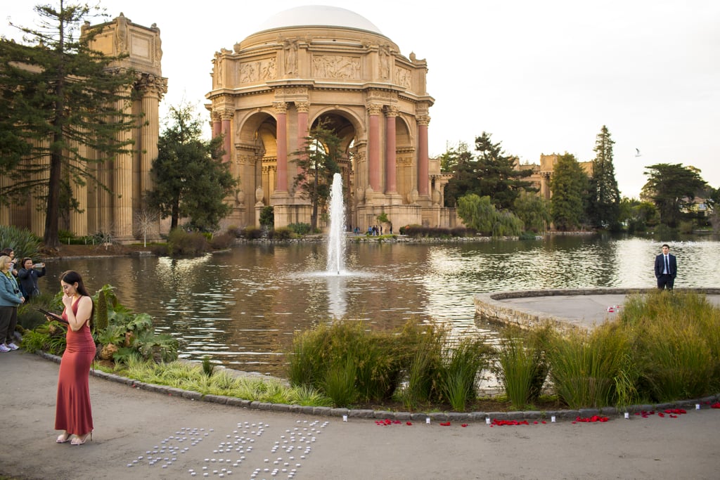 Proposal at the Palace of Fine Arts