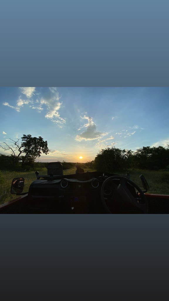 Hilary Duff and Matthew Koma Honeymoon in South Africa