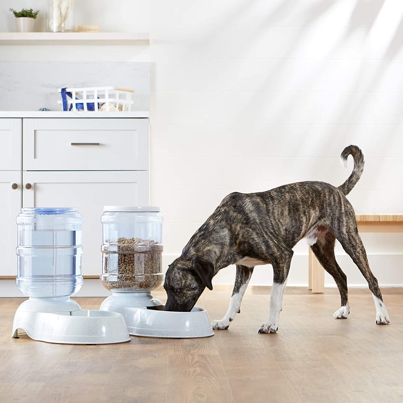 Top-Rated Pet Product: Amazon Basics Gravity Pet Food Feeder and Water Dispensers