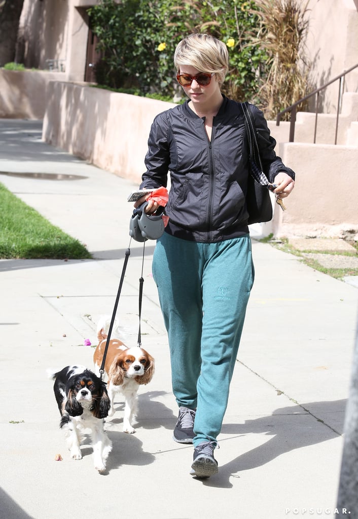 On Monday, Julianne Hough took her dogs out for a walk in LA.