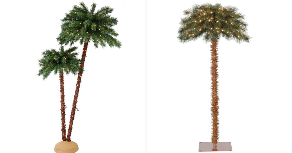 Home Depot Is Selling Christmas Palm Trees POPSUGAR Home