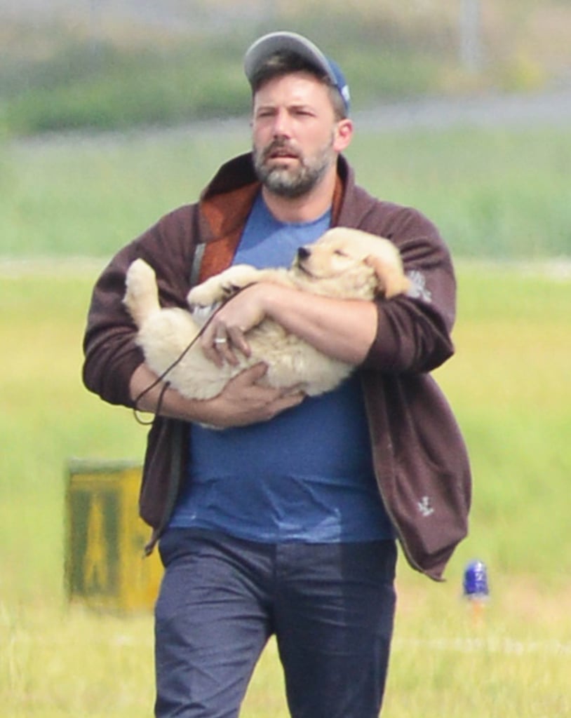 Ben Affleck Holding Puppy in Atlanta | Photos