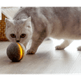 This Interactive Ball Means Your Pet Can Play Fetch When You're Out, and OMG