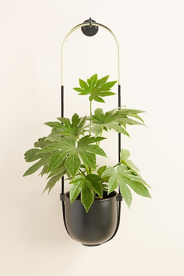 Bolo Hanging Planter