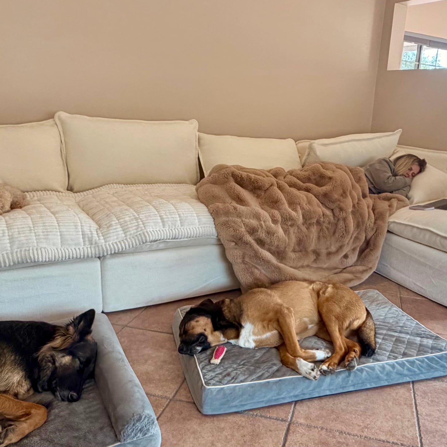 cozey gaia sofa