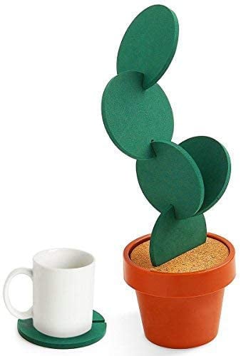 For the Plant Person: Coasters DIY Cactus Coaster Set