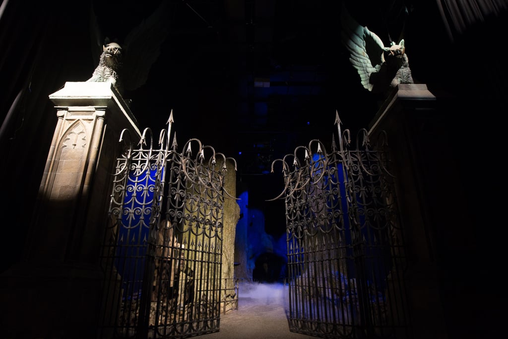 Forbidden Forest Harry Potter London Photos