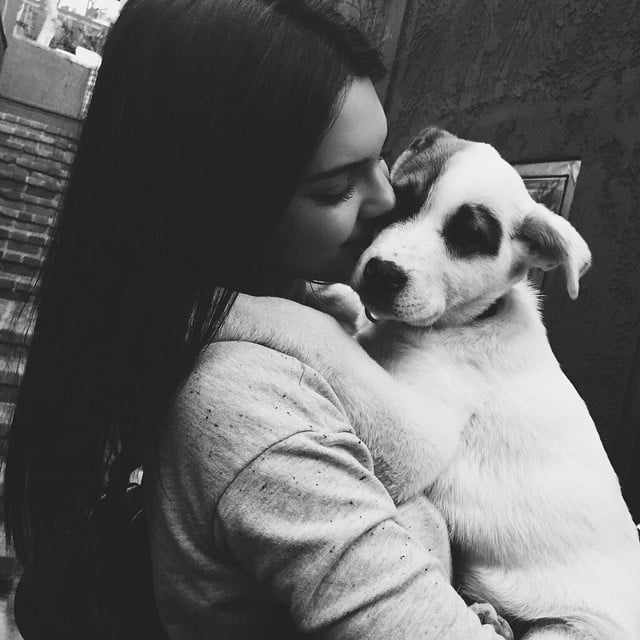 Kendall Jenner cuddled with a cute puppy.
Source: Instagram user kendalljenner