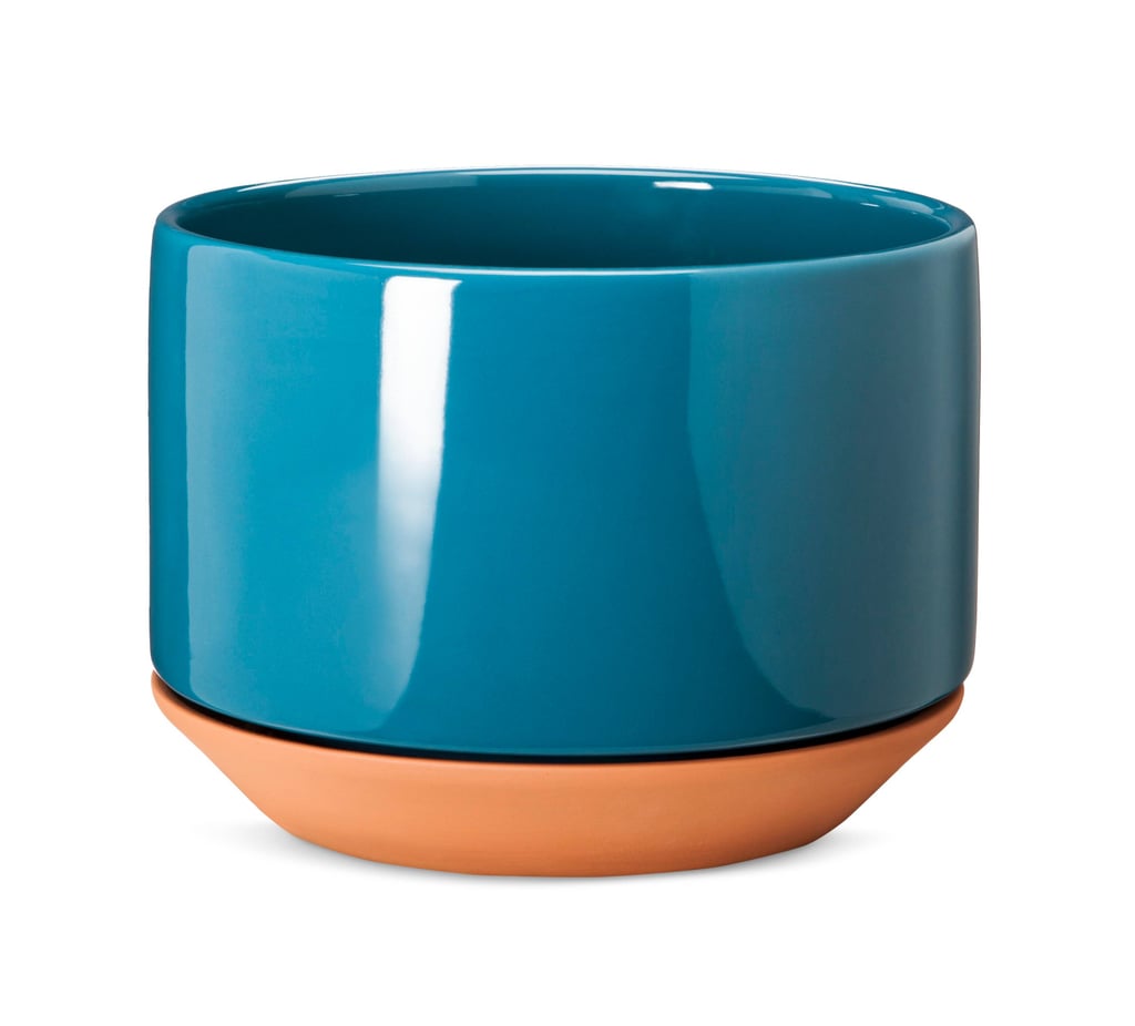 Terracotta Planter ($25)
