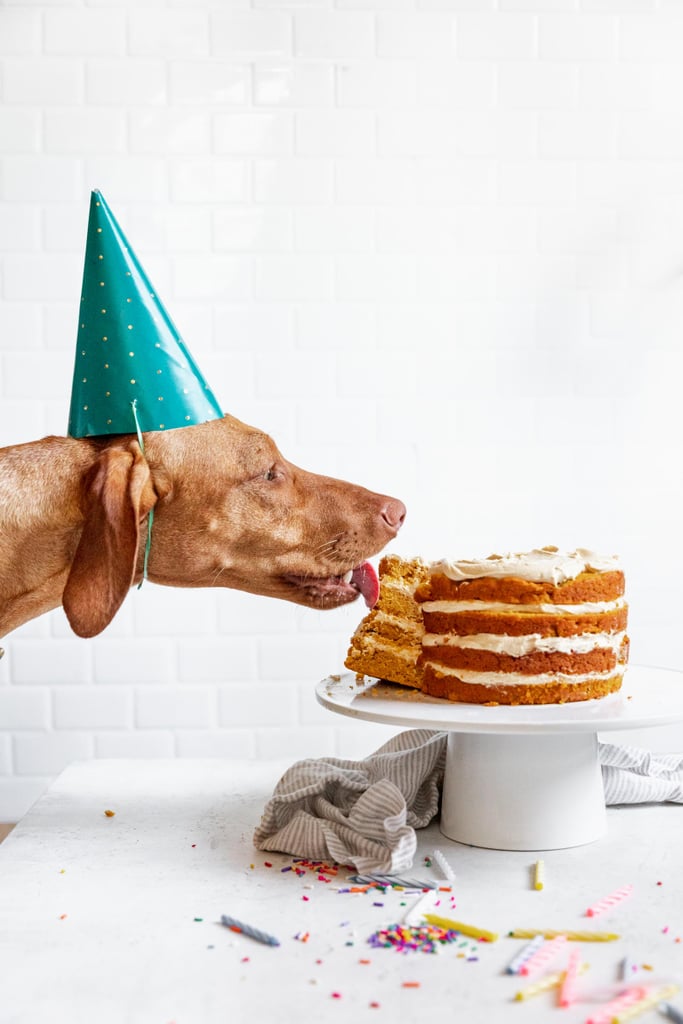 Pumpkin Peanut Butter Dog Layer Cake