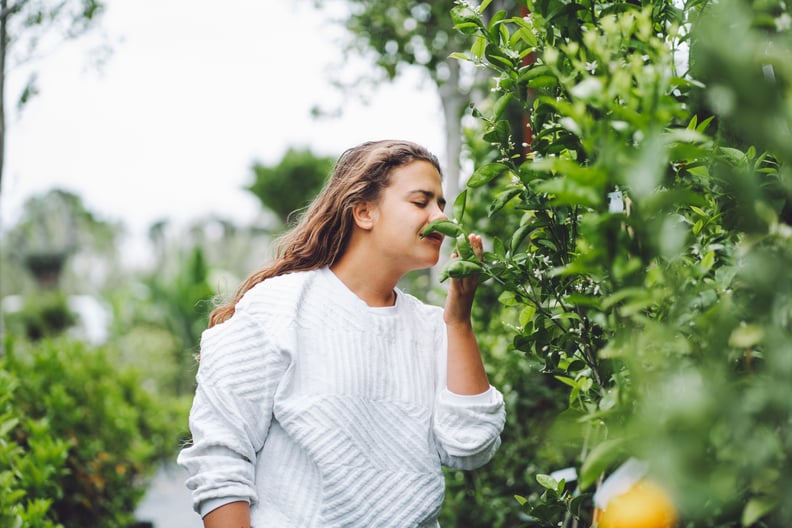 Woman smelling the leaves of an orange tree in a botanical garden.