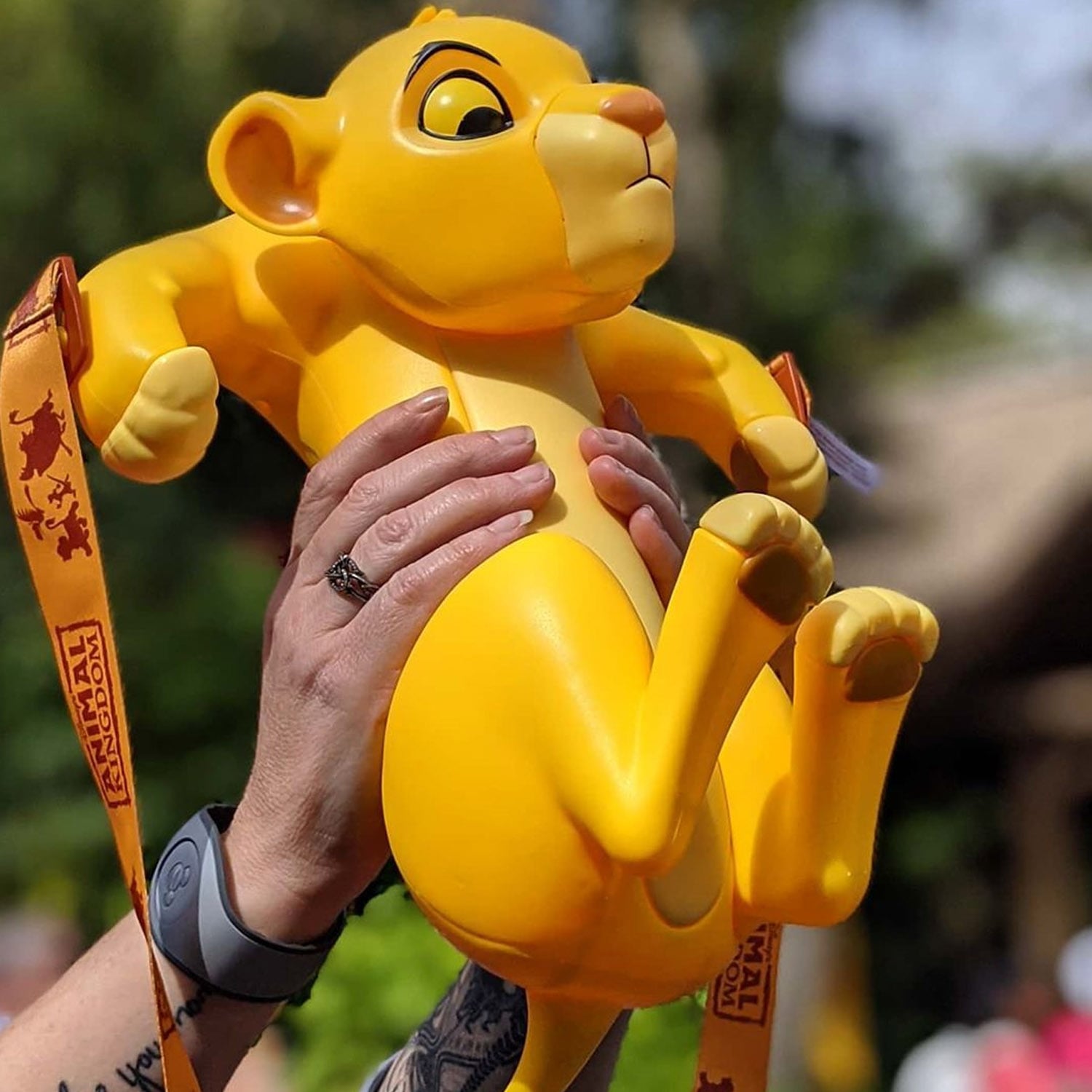 Baby Simba Souvenir Popcorn Bucket Stumbles Into Animal Kingdom