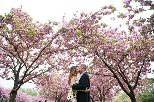 Smooch Under Cherry Blossoms