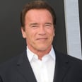 Arnold Schwarzenegger Is Replacing Donald Trump on The Celebrity Apprentice
