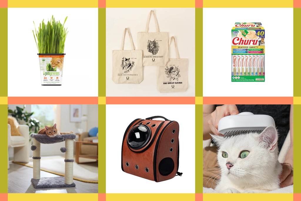 Best Gifts For Cat-Lovers, According to Two Cat Ladies