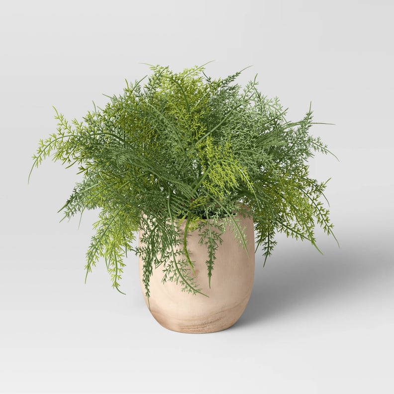 A Faux Plant: Large Asparagus Fern