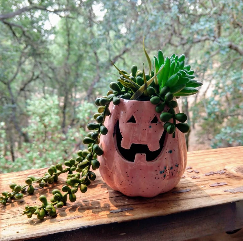 Pink Speckled Pumpkin Succulent Planter