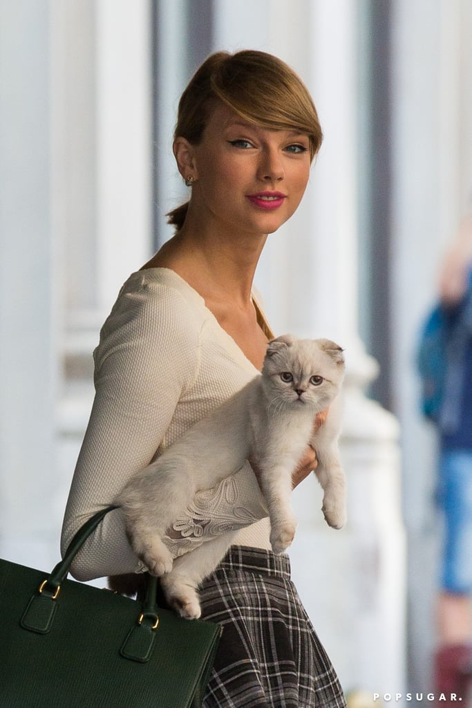 Taylor Swift Carrying Her Cat in NYC